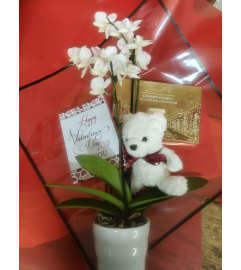 ORCHARD PACKAGE. An arrangement by KW Flowers.