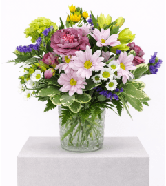 Budding Affection. An arrangement by The Garden Gate Gifts and Florals. Budding Affection. An arrangement by The Garden Gate Gifts and Florals.