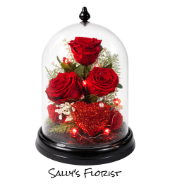 Eternal Love Preserved Rose Dome. An arrangement by Tim's Florist and Garden. Eternal Love Preserved Rose Dome. An arrangement by Tim's Florist and Garden.