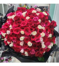 Bigger is Better. An arrangement by Floral Expressions and Gifts Inc..