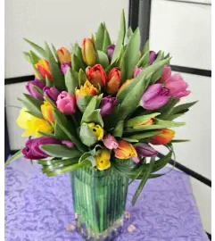 Glamour Tulips Unique. An arrangement by Anthurium Gardens Florist. Glamour Tulips Unique. An arrangement by Anthurium Gardens Florist.