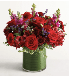Vivid Dream. An arrangement by Sicola's Florist. Vivid Dream. An arrangement by Sicola's Florist.