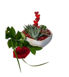 I'm a Succa for You!. An arrangement by Loyalist Flowers.