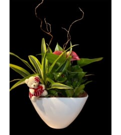 Growing Love!. An arrangement by Loyalist Flowers.