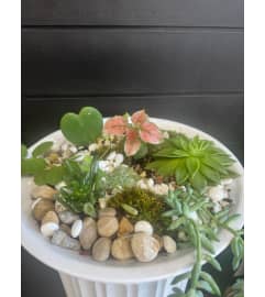 Succulent Dish Garden. An arrangement by Marianna's Flower Island.