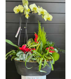 XL Basin of Love Planter. An arrangement by Marianna's Flower Island.