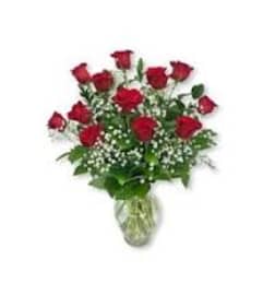 Crimson Love and Snow. An arrangement by Flowers by Anna.