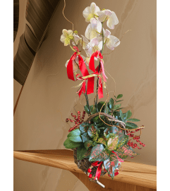 Hearts and Blooms. An arrangement by Flower Snobs at Cityview.