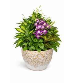 Peace and Purple Harmony. An arrangement by Floral With a Twist.