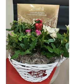 VALENTINES ROSE GARDEN WITH CHOCOLATES. An arrangement by KW Flowers.