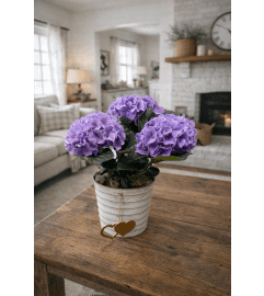 Hydrangea Planter. An arrangement by Petals and Co..