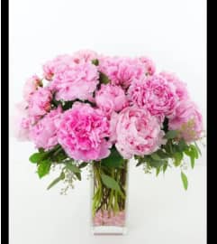 Timeless Peony. An arrangement by Aventura Blooming Petals.