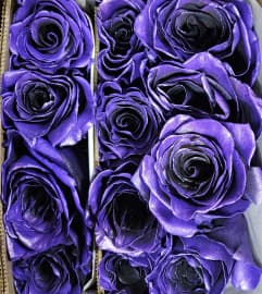 The Purple Metallic Dozen. An arrangement by Donato's Floral.