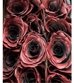 Metallic Graze Dozen. An arrangement by Donato's Floral.