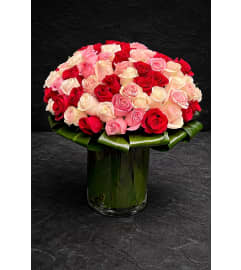TriColor Rose Passion. An arrangement by Brickell Exclusive Blooms.