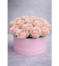 Light Pink roses in box. An arrangement by Grower's Flower Market and Gifts.
