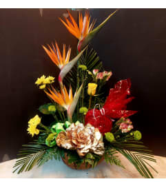 TROPICAL HANGER. An arrangement by Grower Direct Acadia.