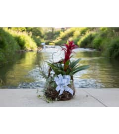 Nesting Memories Basket. An arrangement by Flower Snobs at Cityview.