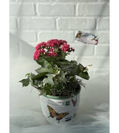 Cheerful Flowering Planter. An arrangement by Brooklin Floral and Garden Shoppe Inc..