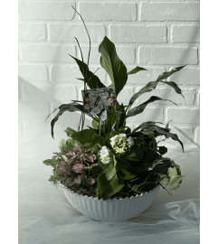 Tropical Planter in Wide White Planter. An arrangement by Brooklin Floral and Garden Shoppe Inc..