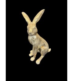 Bronze Bunny. An arrangement by Flower Snobs at Cityview.