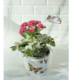 Cheerful Flowering Planter. An arrangement by Brooklin Floral and Garden Shoppe Inc..