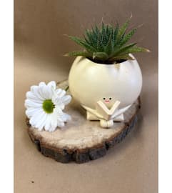 Succulent plant - Reader with book. An arrangement by Deer Valley Florist and Flower Delivery.