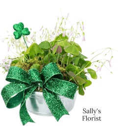 Sally's Lucky Emerald Shamrock. An arrangement by Country Florist.