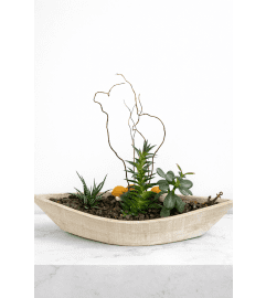 Wooden Boat Planter. An arrangement by Anderson Flowers.