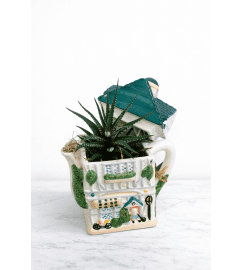 Vintage Teapot and Plant (1 of a kind). An arrangement by Lori's Hearts and Flowers.