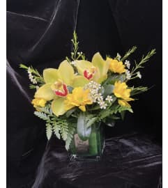 Sister Orchid Arrangement. An arrangement by Roma Flowers and Gifts.