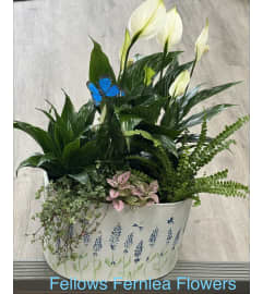 Fellows Cottage Windowsill Planter. An arrangement by Fellows Fernlea Flowers.