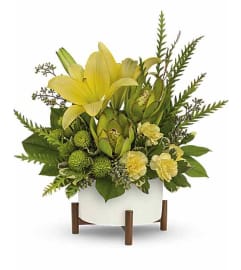Teleflora's Modern Garden Bouquet. An arrangement by Love Floral.