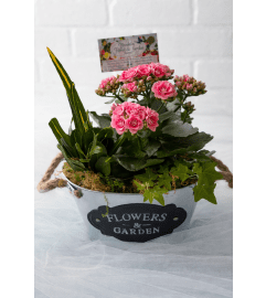 Little Garden of Joy. An arrangement by Brooklin Floral and Garden Shoppe Inc..