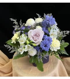 Simply Serenity. An arrangement by Roma Flowers and Gifts.