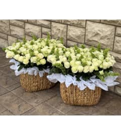 Premium White Rose Basket Arrangement. An arrangement by Li Flowers.