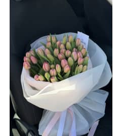 Premium Blush Tulip Arrangement. An arrangement by Li Flowers. Premium Blush Tulip Arrangement. An arrangement by Li Flowers.