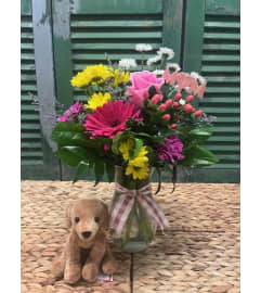 Fresh Colourful Vase of Flowers with Plush Dog. An arrangement by Forest Florist.