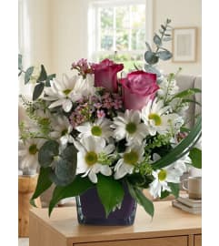 Daisy Love. An arrangement by Sophie's Flowers.