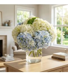 Hydrangea Waltz. An arrangement by Sophie's Flowers.