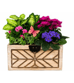 Garden Treasure Planter. An arrangement by The Garden Gate Gifts and Florals.
