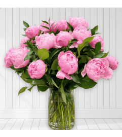 Pink Luxury Peony Arrangement. An arrangement by Elegant Florist. Pink Luxury Peony Arrangement. An arrangement by Elegant Florist.