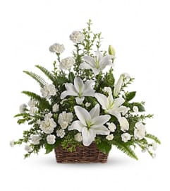 T228-1A Peaceful White Lilies Basket. An arrangement by Nicol Florist.