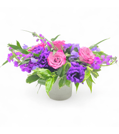 Violet Dreamscape. An arrangement by Appleblossoms Flowers Gifts and More.