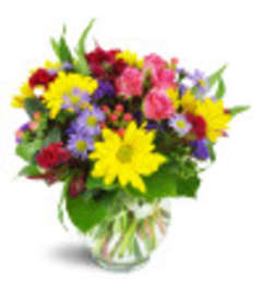 Test Flowers. An arrangement by Donato's Floral. Test Flowers. An arrangement by Donato's Floral.