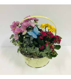 Chloe Metal Planter. An arrangement by Prestige Floral. Chloe Metal Planter. An arrangement by Prestige Floral.