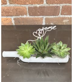 'By Design' Concrete Bottle succulent garden for Mom. An arrangement by Flowers By Design. 'By Design' Concrete Bottle succulent garden for Mom. An arrangement by Flowers By Design.