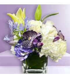 Orchid Garden Reserve. An arrangement by Elegant Florist. Orchid Garden Reserve. An arrangement by Elegant Florist.