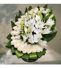 Half moon orchid. An arrangement by Elegant Florist. Half moon orchid. An arrangement by Elegant Florist.