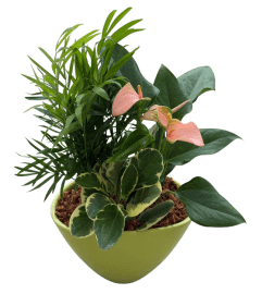Medium Eileen Lime Green Planter Garden. An arrangement by Lori's Hearts and Flowers.